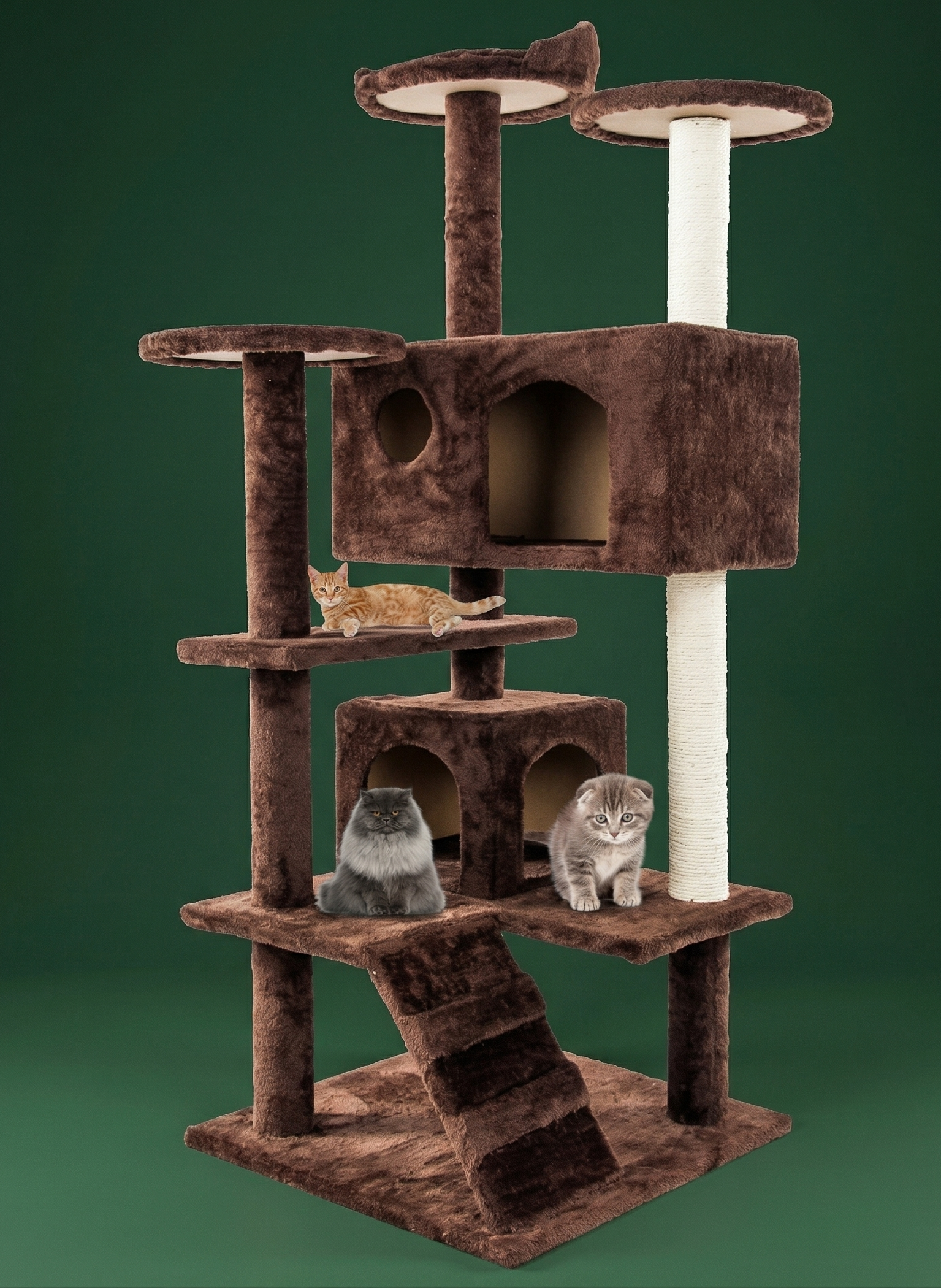 The Apex Architecture | Vertical Habitat