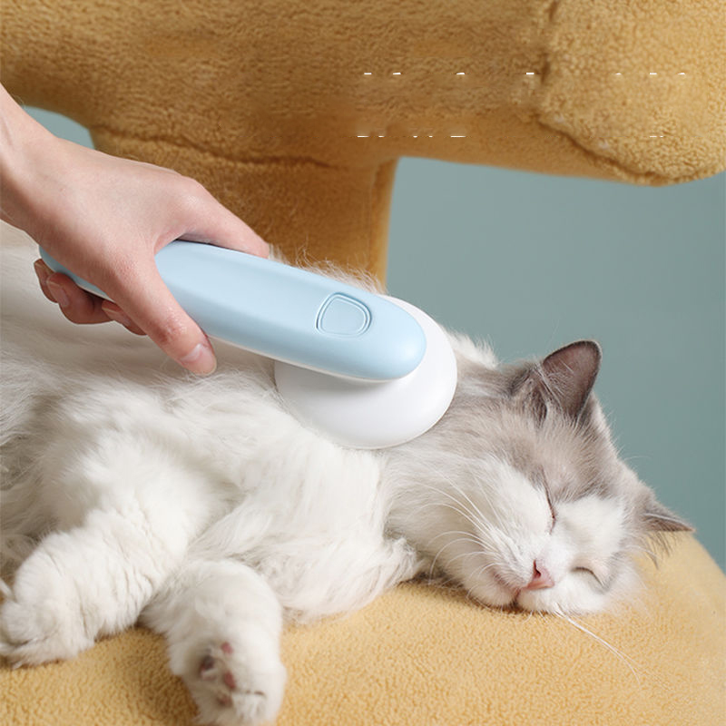 The Bio-Groom Matrix | Precision Exfoliation Tool