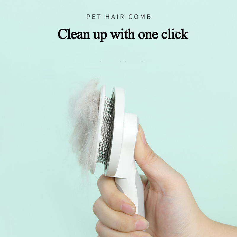 The Bio-Groom Matrix | Precision Exfoliation Tool