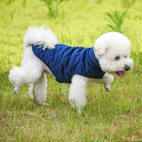 The Thermal Core | Core Isolation Vest