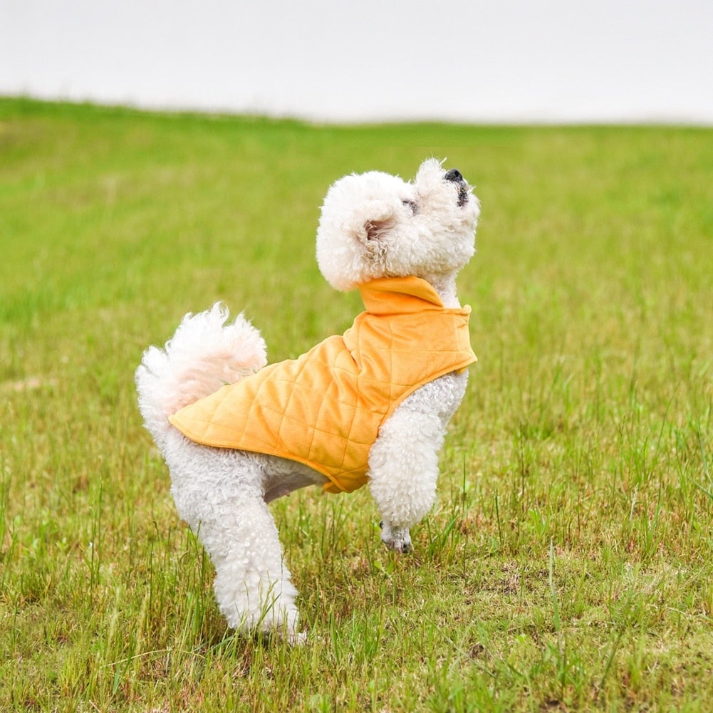 The Thermal Core | Core Isolation Vest
